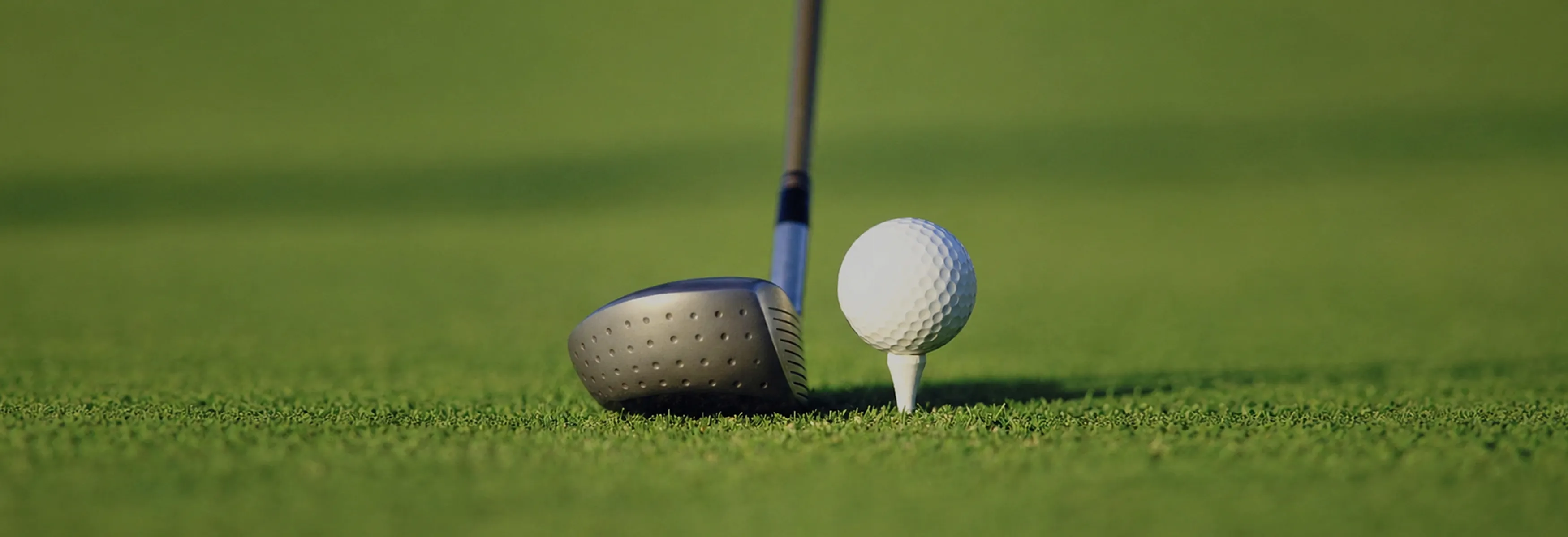 GOLF Hero